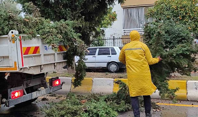 Aydın Büyükşehir Belediyesi tehlikeyi yok etti