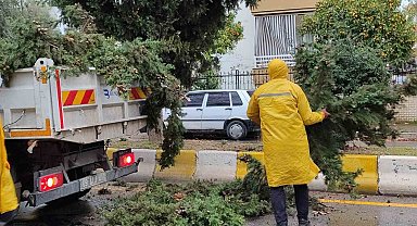 Aydın Büyükşehir Belediyesi tehlikeyi yok etti