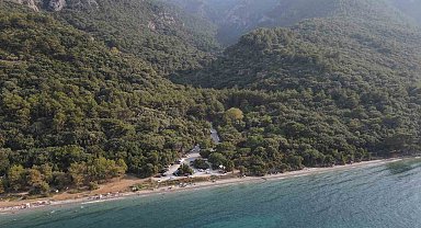 Aydın'da 1 yılda 20 bin gelir getirici fidan toprakla buluştu