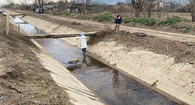 Aydın'da sulama kanalında ceset bulundu