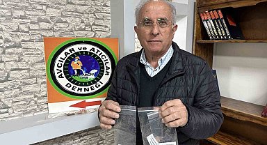 Ayıların şehirlere inmesini önlemek için ormanlara meyve tohumları ekiyorlar