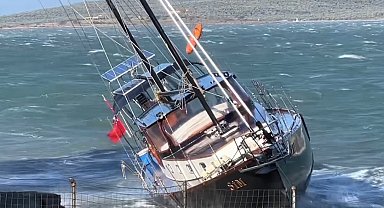 Ayvalık'ta saatte 80 kilometre hızla esen poyraz etkili oldu