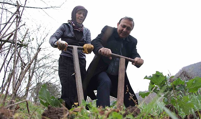 Bağımsız aday 1 oy için tarla belliyor
