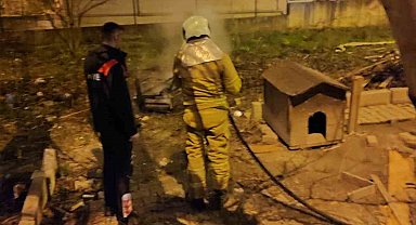 Bahçe yangınında "köpek" paniği
