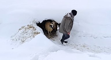 Bahçesaray'da kar etkili oluyor
