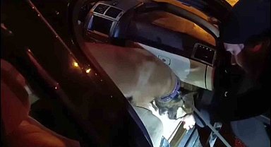 Baklava kutusuna gizlenen uyuşturucu hapları "Hulk" buldu