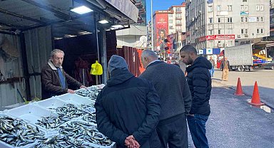 Balık tezgahlarında istavrit bolluğu yaşanıyor