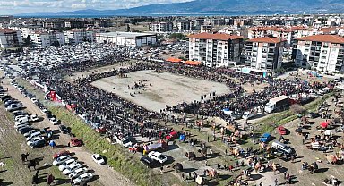 Balıkesir'de deve güreşini binlerce kişi izledi