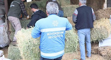 Başkan Çerçioğlu'ndan üreticiye yem ve yonca desteği