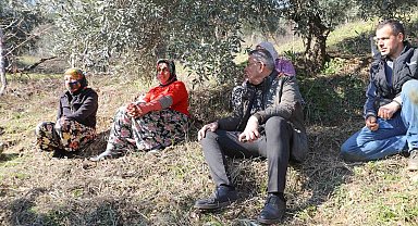 Başkan Güler, zeytin hasadı yapan üreticilerle bir araya geldi