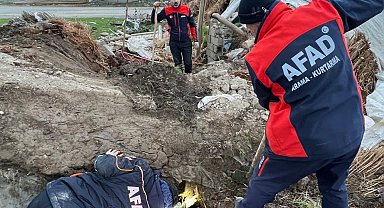 Batman'da ahır çöktü: 8 yavru köpekten 5'i kurtarıldı