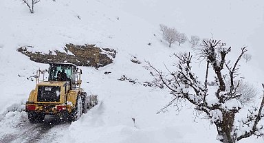 Batman'da kar yağışı nedeniyle kapanan köy yolları ulaşıma açıldı
