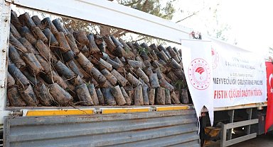 Batman'da özel ağaçlandırmaya 38 milyon lira hibe desteği