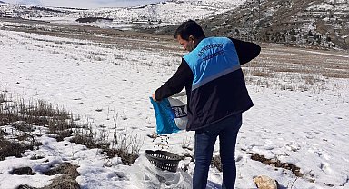 Battalgazi'de sokak hayvanlara yem bırakıldı