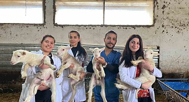 BAÜN Veteriner Fakültesi Öğrencileri, "Yetiştirme Çiftliğinde" pratik kazanıyor