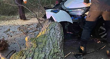 Biga'da otomobil fırtına nedeniyle yola devrilen ağaca çarptı