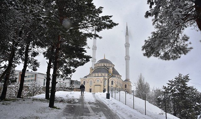 Bitlis'te 34 köy yolu ulaşıma kapandı