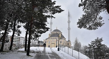 Bitlis'te 34 köy yolu ulaşıma kapandı