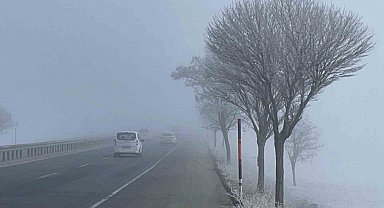 Bitlis'te ağaçlar kırağı tuttu