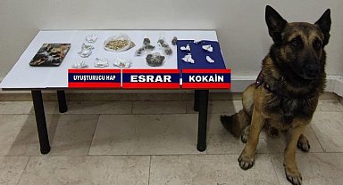 Bolu'da uyuşturucu operasyonu