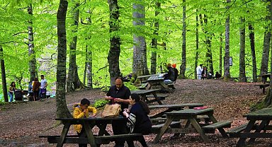 Bolu'nun doğa harikasında insan faaliyetleri doğal dengeyi bozuyor