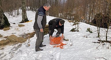 Bursa'da yaban hayvanlarına yem desteği