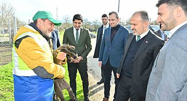 Büyükşehir'le çaresiz değilsiniz