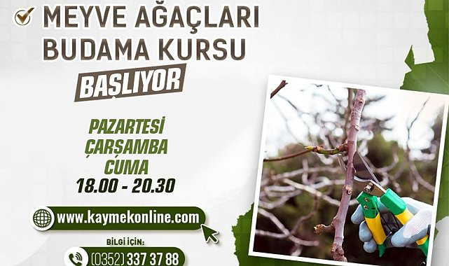 Büyükşehirden 'Meyve ağaçları budama kursu'