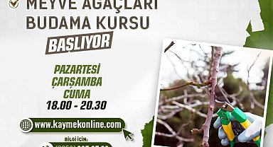 Büyükşehirden 'Meyve ağaçları budama kursu'