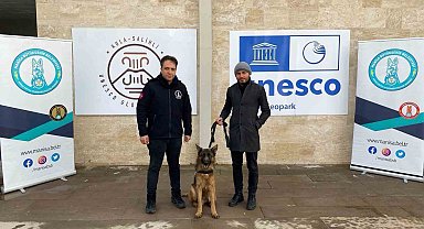 Büyükşehirin projesiyle sokak hayvanları yuva buluyor