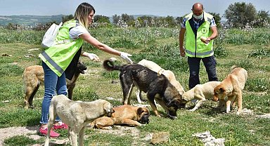 Can dostlara Büyükşehir şefkati
