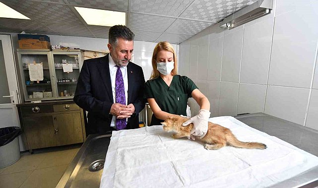 Can dostlara sıcak yuva ve mama desteği