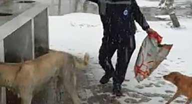 Çanakkale'de kar altındaki sokak hayvanlarına oyun havası eşliğinde mama