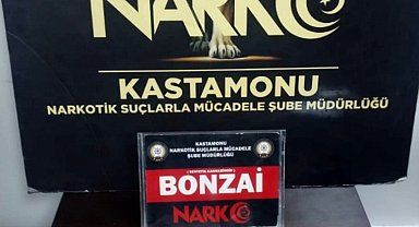 Çankırı'da uyuşturucuyla yakalanan 1 kişi tutuklandı