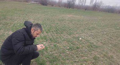 Çiftçilere yönelik bilgilendirme ve bitki kontrolleri yapıldı