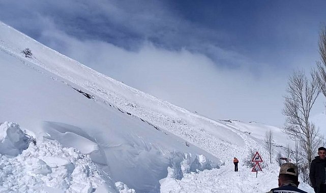 Çığ düşmesi sonucu kapanan köy yolu ulaşıma açıldı