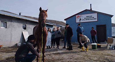Cirit atları sağlık taramasından geçti