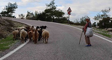 Çobanlık mesleği de unutulmaya yüz tuttu