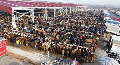 Çorum'da hayvan pazarı geçici olarak kapatıldı