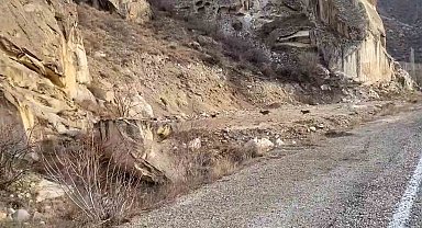 Dağ keçileri yol kenarına indi
