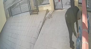 Damacana üzerinde duran su parasına göz dikti