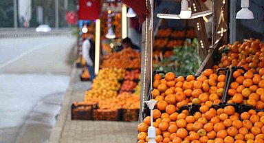 Derepazarı mandalinasında hasat iyi, satışlar kötü