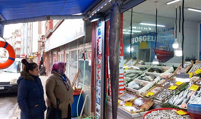 Dev balık ilgi çekti