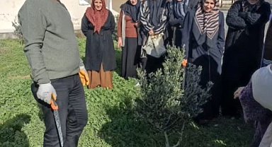 Didim'de 23 çiftçi sertifikasına kavuştu