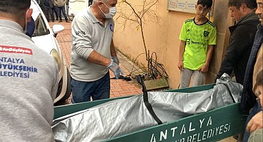Diş hekimi başından silahla vurulmuş halde ölü bulundu