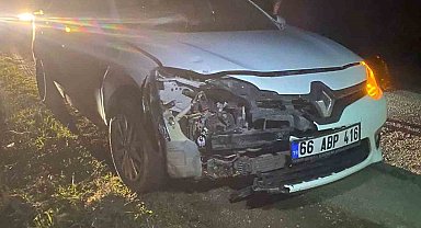 Domuz sürüsüne çarptı, maddi hasar oluştu