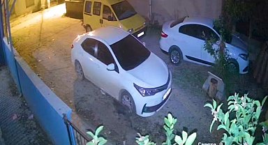 Domuz yavrusu evin güvenlik kamerasına yansıdı