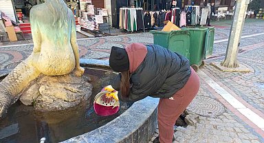 Edirne kuru ayaza teslim oldu, havuzlar dondu