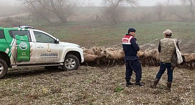 Edirne'de çobanlara hayvanların hastalıktan korunması için bilgilendirme yapıldı