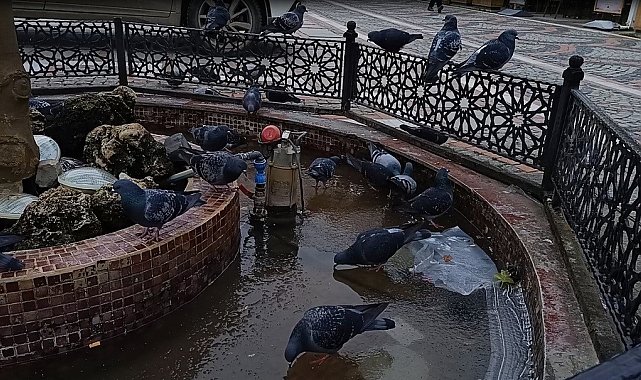 Edirne'de dondurucu soğuk etkili oldu: Süs havuzları buz tuttu